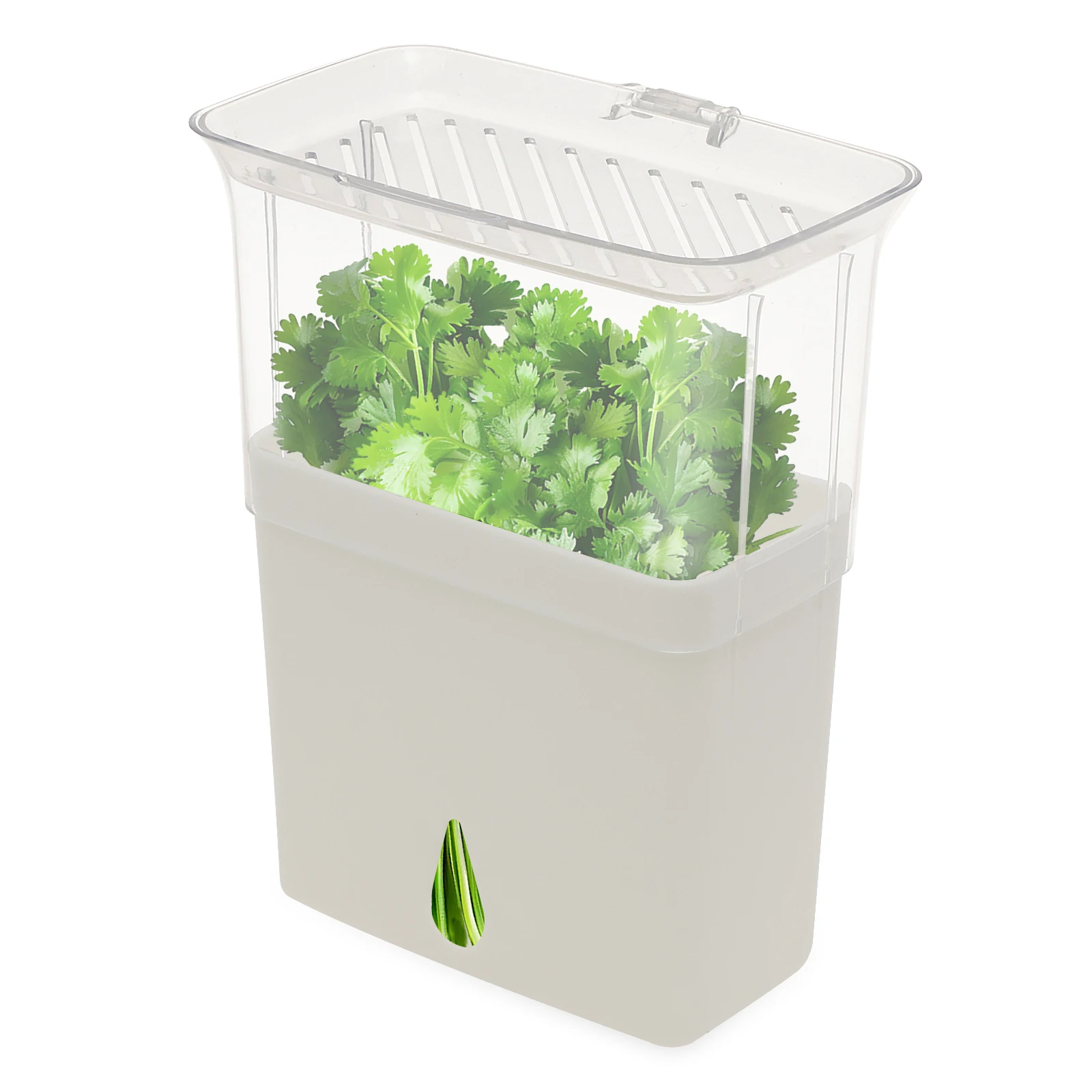 Clear Herb Saver Storage Conta - огляд і ціна Herb Keeper Bottle