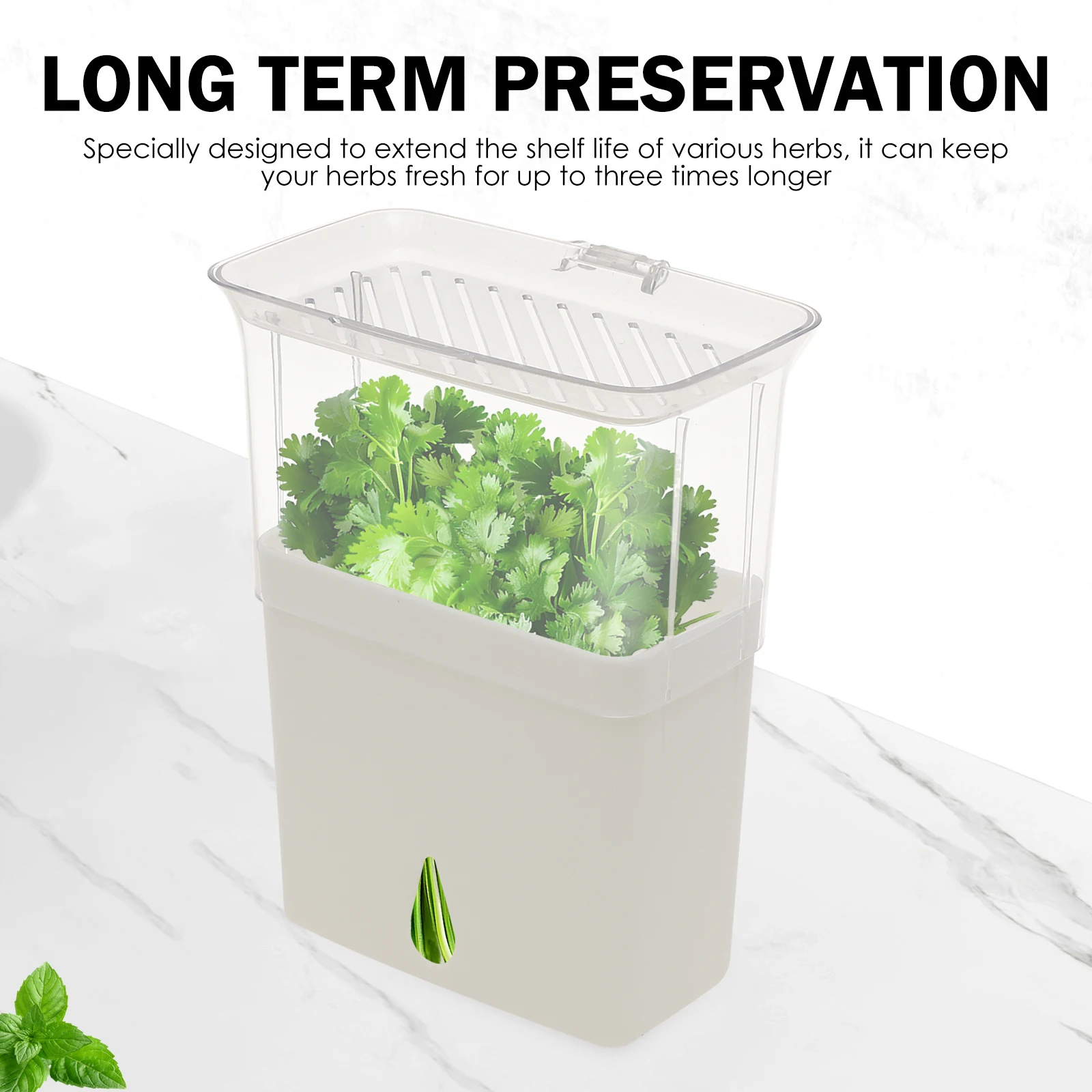 Clear Herb Saver Storage Conta - огляд і ціна Herb Keeper Bottle