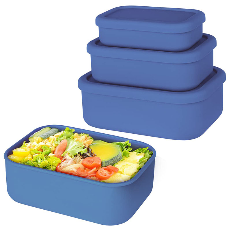 Leak-Resistant Bento Lunch Box - огляд і ціна Meal Prep Dinners