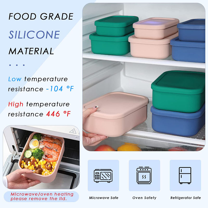 Leak-Resistant Bento Lunch Box - огляд і ціна Meal Prep Dinners